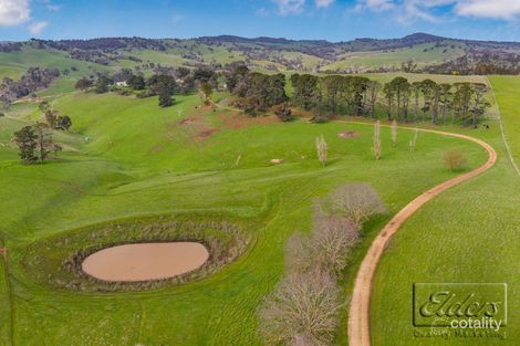 334 Pattersons Rd, Springfield, VIC 3434