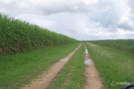 Property photo of 262 Gardner Road Wangaratta QLD 4806