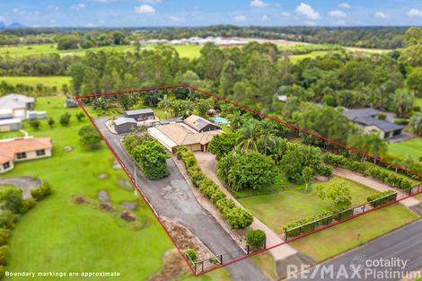 Property photo of 67-71 Riflebird Drive Upper Caboolture QLD 4510