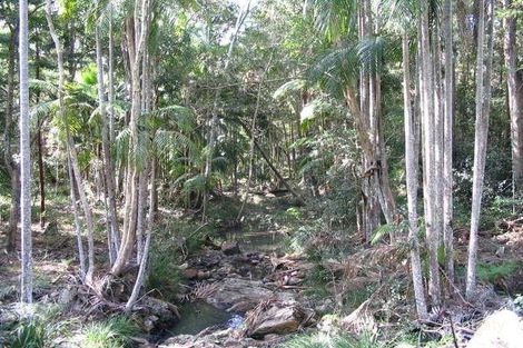 Property photo of 250 Trees Road Tallebudgera QLD 4228