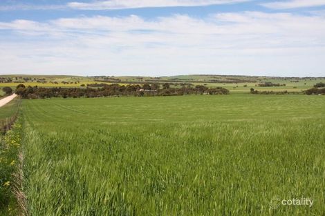 Property photo of 84 Bremer Range Road Callington SA 5254