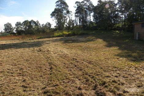Property photo of 14 Zelman Close Watanobbi NSW 2259