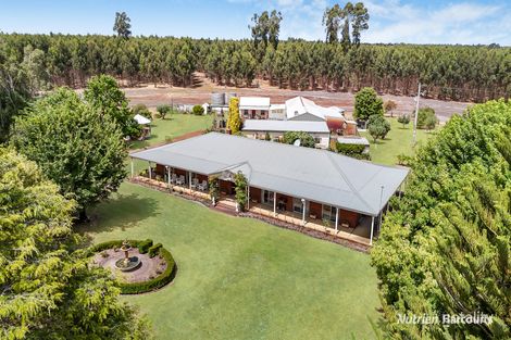 230 Mcleans Rd, Dartmoor, VIC 3304