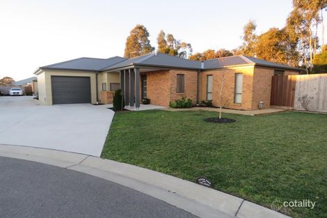 Property photo of 1/6 Tyrone Close Traralgon VIC 3844