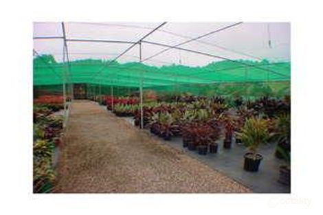 Property photo of 90 Ruwoldts Road Dulong QLD 4560