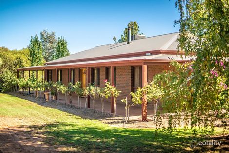 Property photo of 46 Wolfe Road Red Cliffs VIC 3496