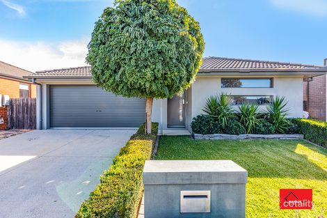 25 John Crawford Cres, Casey, ACT 2913