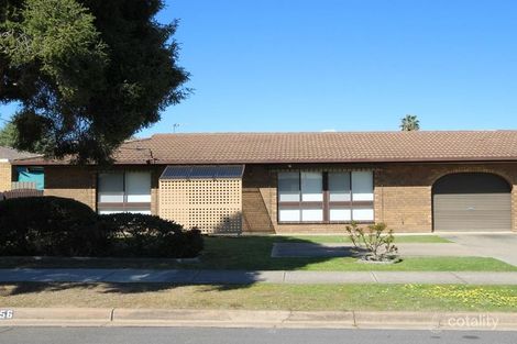 2/556 Prune St, Lavington, NSW 2641