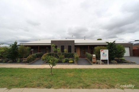 Property photo of 12 Bunya Drive Brookfield VIC 3338