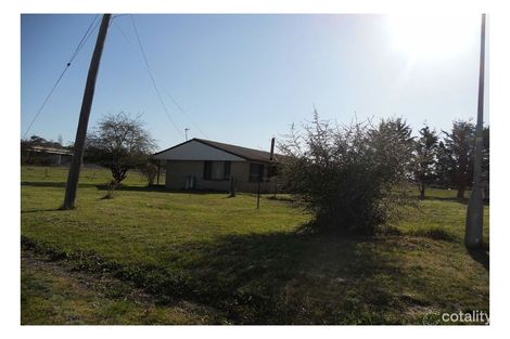 Property photo of 38 White Avenue Armidale NSW 2350