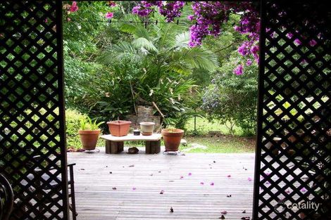 Property photo of 49 Hall Drive Murwillumbah NSW 2484