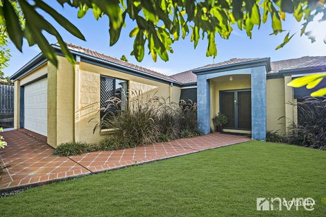 Property photo of 23 McKenzie Avenue Narangba QLD 4504