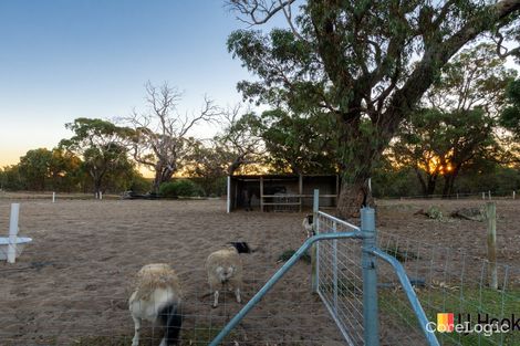 Property photo of 3 Countryside Drive Two Rocks WA 6037