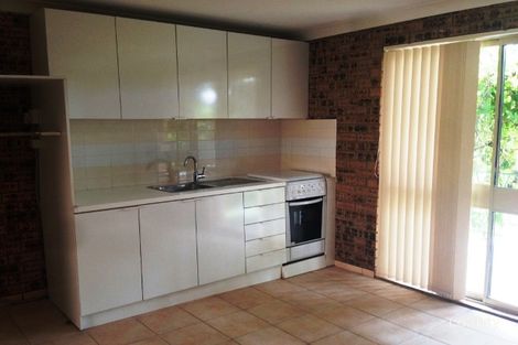 Property photo of 20 Chasselas Avenue Eschol Park NSW 2558
