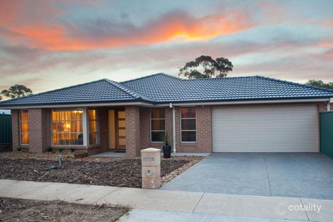 Property photo of 20 Irontree Close Kangaroo Flat VIC 3555