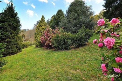 Property photo of 31 Kallista-Emerald Road The Patch VIC 3792