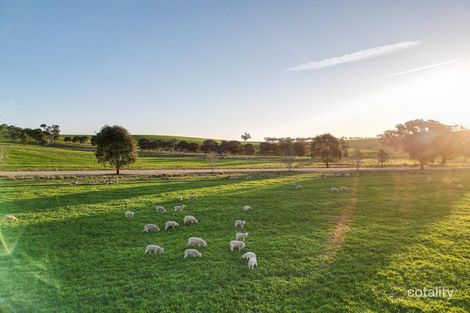 710 Pulletop Rd, Big Springs, NSW 2650