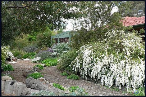 Property photo of 54 Rivett Street Hackett ACT 2602