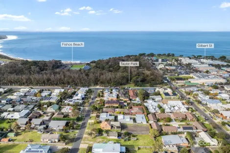 Property photo of 3/3 Spring Street Torquay VIC 3228