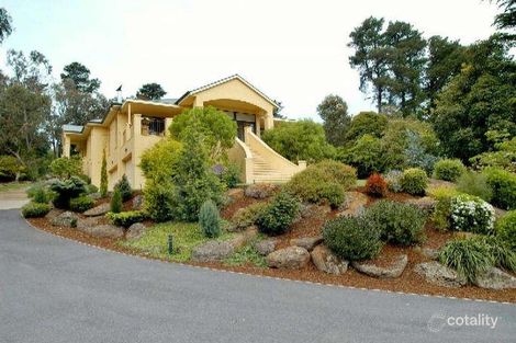 Property photo of 25 Beckett Road Donvale VIC 3111