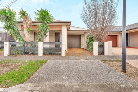 Property photo of 78 Rapid Avenue Lightsview SA 5085