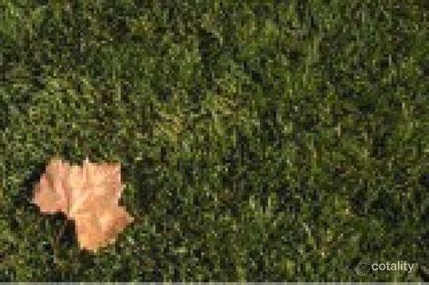 Property photo of 106 Burlington Street Oakleigh VIC 3166