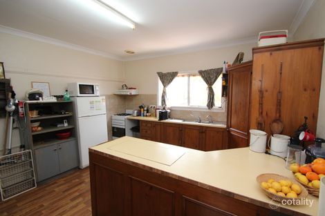 Property photo of 49 Tapio Street Renmark SA 5341