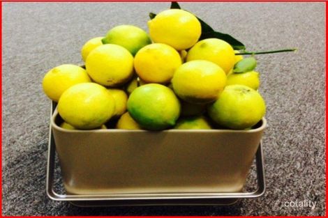 Property photo of 98 Enbrook Street Bracken Ridge QLD 4017