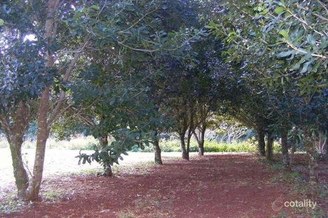Property photo of 10 Cycad Place Flaxton QLD 4560