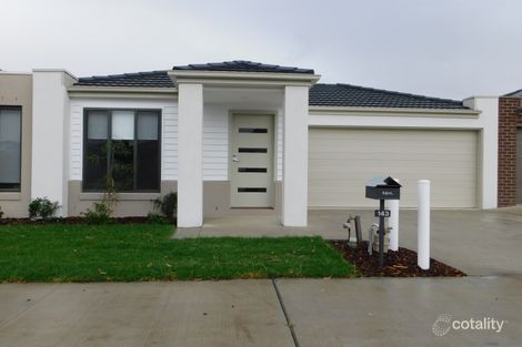 Property photo of 143 Stagecoach Boulevard South Morang VIC 3752