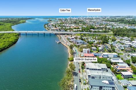 Property photo of 12/299-301 Bradman Avenue Maroochydore QLD 4558