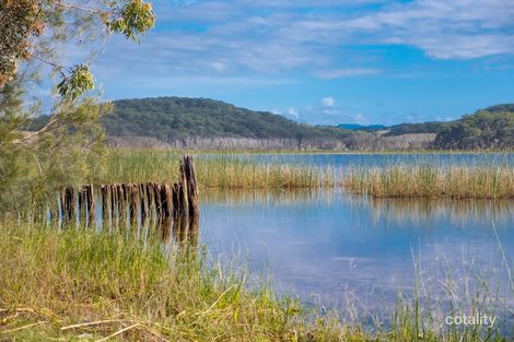 Property photo of 36/77 Tamarind Avenue Bogangar NSW 2488