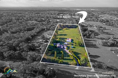 Property photo of 131 Boscoe Road Narangba QLD 4504
