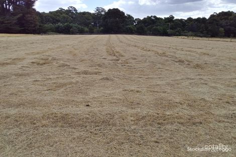 199 South Bullarto Rd, Bullarto South, VIC 3461