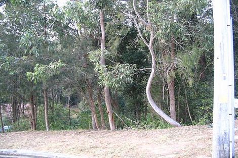 81a Wendy Dr, Point Clare, NSW 2250