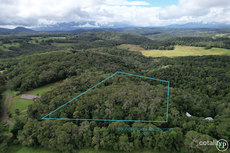 190 Winfield Rd, Lake Eacham, QLD 4884