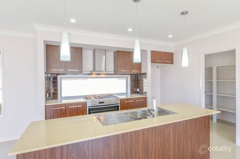 Property photo of 28 Grindelia Drive Springfield Lakes QLD 4300