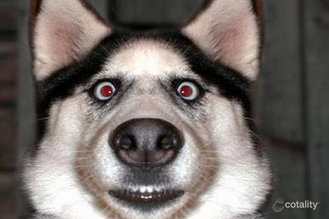 16 Hefron Way, Parmelia, WA 6167