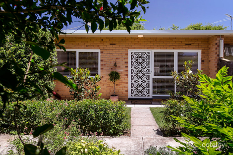 4/142 Childers St, North Adelaide, SA 5006