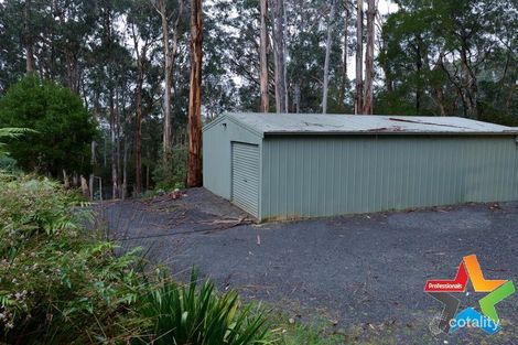 Property photo of 119 Wonga Road Millgrove VIC 3799