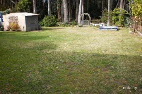 Property photo of 16 Banyandah Street South Durras NSW 2536