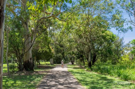 Property photo of 3 Creek Road Noosaville QLD 4566