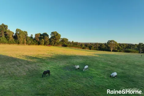 Property photo of LOT 42 Pointer Road Yatte Yattah NSW 2539