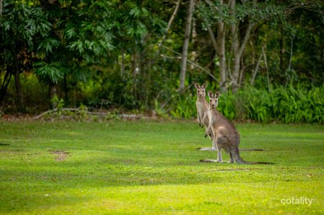 Property photo of 211 Ballinger Road Buderim QLD 4556