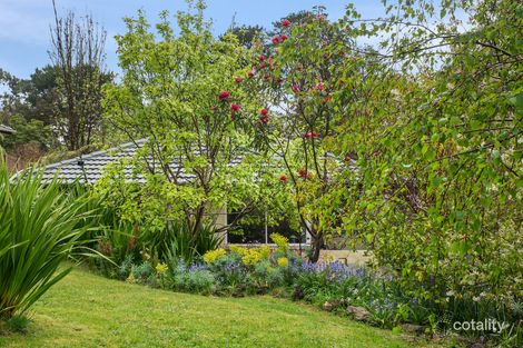 Property photo of 28 View Street Mount Evelyn VIC 3796