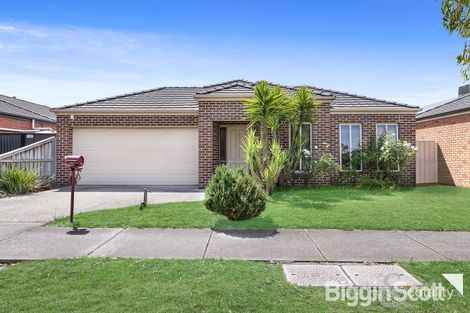 19 Golden Gr, Springvale South, VIC 3172