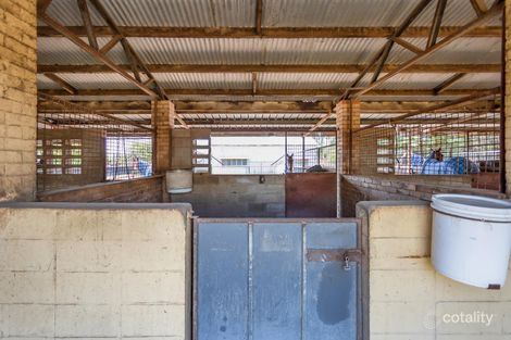 Property photo of 3 Bernborough Avenue Ooralea QLD 4740