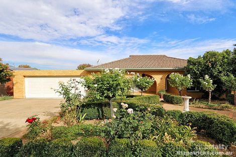 Property photo of 10 Dove Street Mount Austin NSW 2650