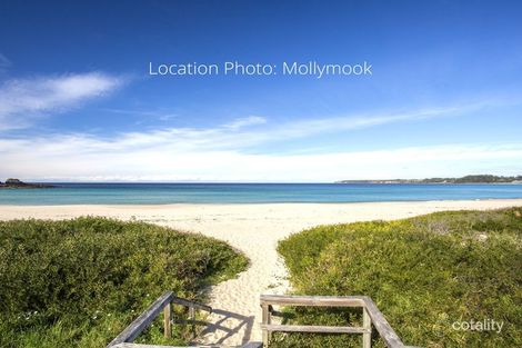 Property photo of 11 Woodglen Crescent Mollymook Beach NSW 2539