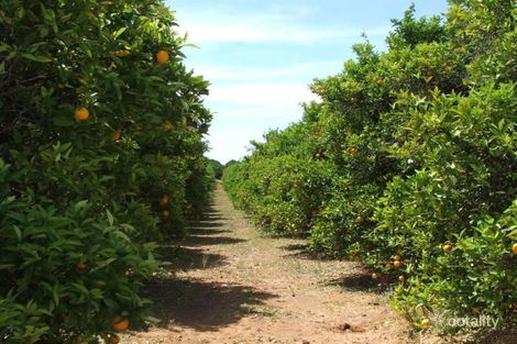 109 Old Cooltong Ave, Cooltong, SA 5341